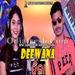 Deewana Pila - Sambalpuri Romantic Song